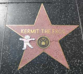 KermitsStar